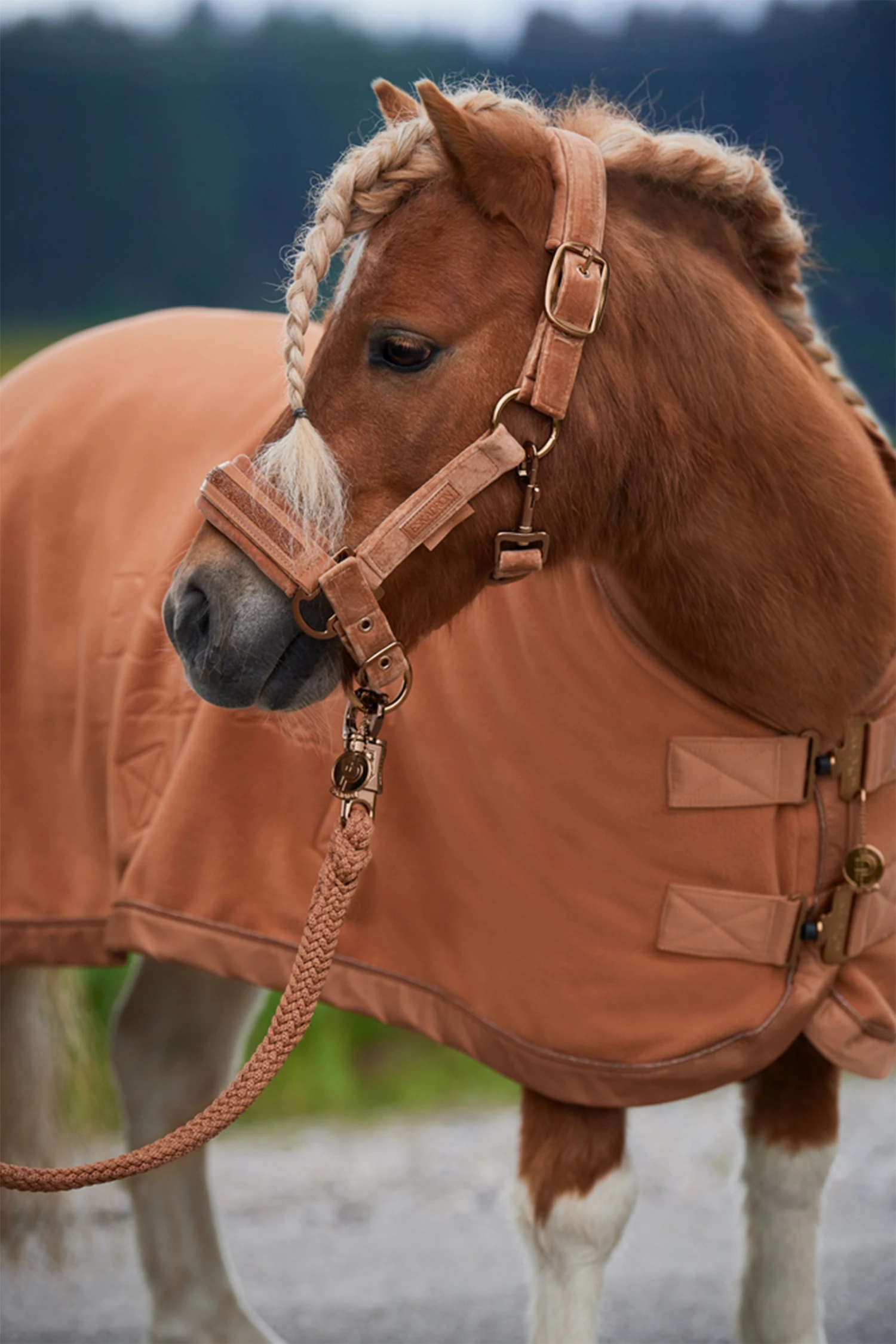 Eskadron Platinum 23 Double Pin Velvet Jewel Halfter 3 Eskadron Platinum 23 Double Pin Velvet Jewel Halfter – Bild 3