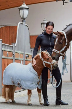 Eskadron Platinum 2023 Velvet Crystal Shetland Abschwitzdecke -Cavallo Verkäufe 345484 PLB 02