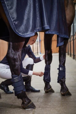 Eskadron Platinum Pure FS23 Softshell Gamaschen -Cavallo Verkäufe 345490 DB 03