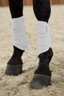 Eskadron Platinum Pure FS23 Softshell Gamaschen -Cavallo Verkäufe 345490 WH 01