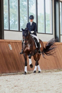 Eskadron Platinum Pure FS23 Mesh Evo-Wool Gamaschen 13 Eskadron Platinum Pure FS23 Mesh Evo-Wool Gamaschen -Cavallo Verkäufe 345499 WH 01