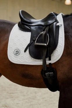 Eskadron Platinum Pure FS23 Highgloss Peacock Dressurschabracke 6 Eskadron Platinum Pure FS23 Highgloss Peacock Dressurschabracke -Cavallo Verkäufe 345505 WH 01