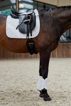 Eskadron Platinum Pure FS23 Glitter-Mesh Dressurschabracke 6 Eskadron Platinum Pure FS23 Glitter-Mesh Dressurschabracke -Cavallo Verkäufe 345510 WH 01