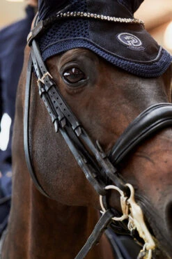 Eskadron Platinum Pure FS23 Glitter Mesh Fliegenhaube -Cavallo Verkäufe 345512 DB 03