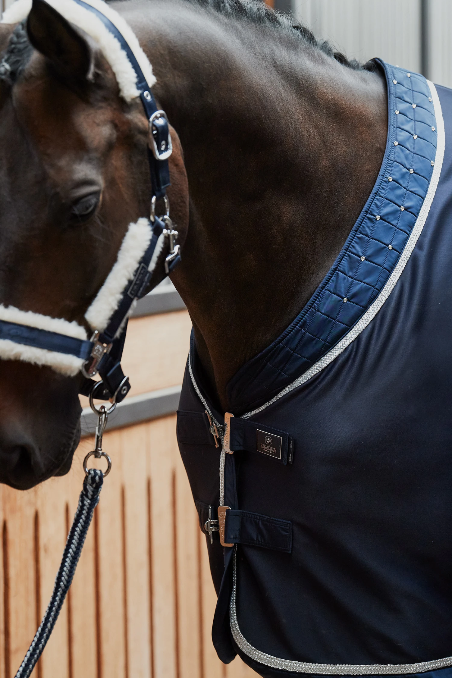 Eskadron Platinum Pure FS23 Dura Crystal Transportdecke 3 Eskadron Platinum Pure FS23 Dura Crystal Transportdecke – Bild 3