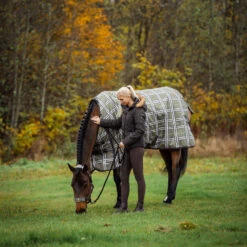 Horze Sienna Damen Reithose Mit Vollbesatz Und Silikon Grip -Cavallo Verkäufe 36660 BRBR 5