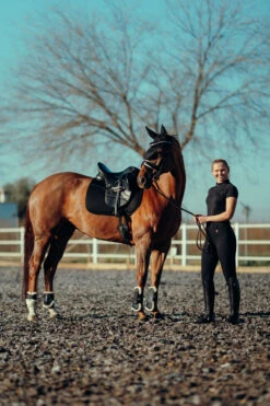 Horze Mila Vollbesatzreithose Für Damen Mit Hohem Bund 36 Horze Mila Vollbesatzreithose Für Damen Mit Hohem Bund -Cavallo Verkäufe 36698 BL 8