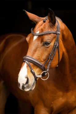 LeMieux Arika Dresssur Trense -Cavallo Verkäufe 38E3P 780 04