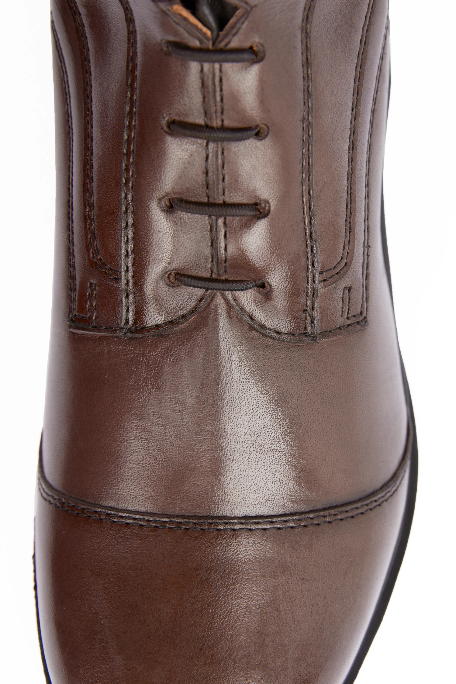 B Vertigo Vega Damen Reitstiefel 13 B Vertigo Vega Damen Reitstiefel – Bild 13