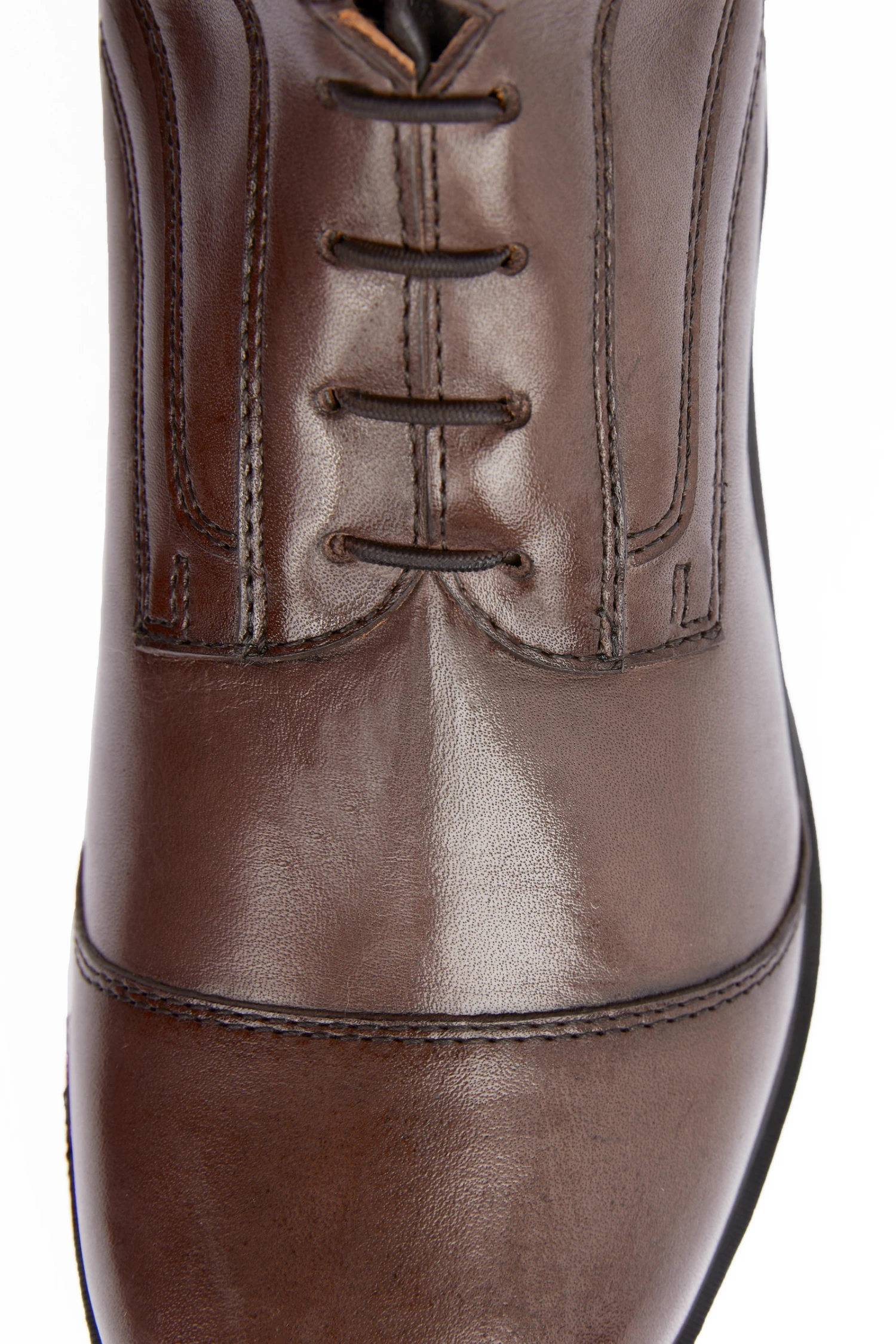 B Vertigo Vega Teenager Reitstiefel 13 B Vertigo Vega Teenager Reitstiefel – Bild 13