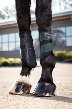 LeMieux Grafter Fesselkopfgamaschen -Cavallo Verkäufe 4WAGF 690 06