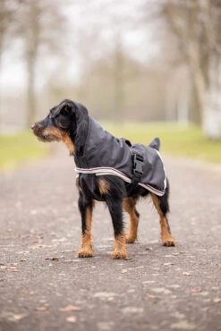 Horze Sudbury 2-in-1 Hundemantel, 0g, 100g -Cavallo Verkäufe D2043 bl 06