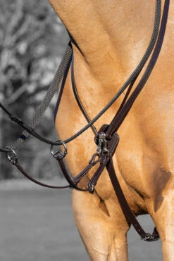 LeMieux Kudos Ringmartingal -Cavallo Verkäufe NQ5CN 780 02