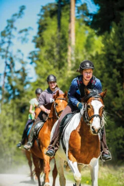 Uvex Onyxx Matt Reithelm Für Kinder -Cavallo Verkäufe V3M0E 099 07