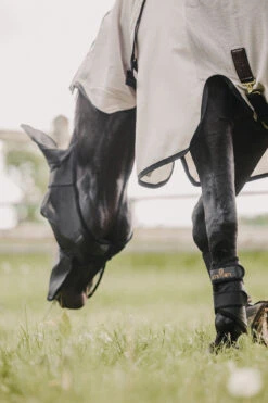 Kentucky Horsewear Classic Fliegenmaske Mit Nase Und Ohren -Cavallo Verkäufe WH103 099 06