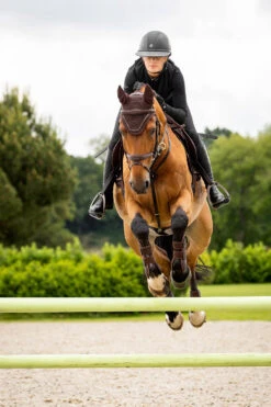 LeMieux Crystal Fliegenhaube -Cavallo Verkäufe Z1KR0 780 03